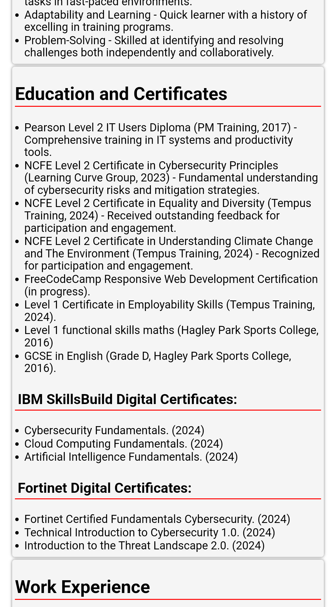 CV Website Screenshot